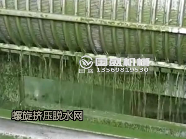白菜脱水用91视频污污污螺旋压榨机